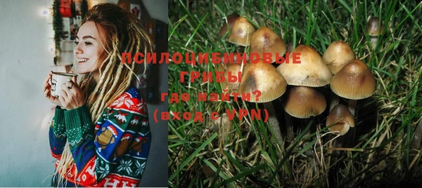 бошки Саяногорск