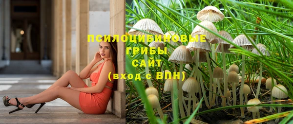 бошки Саяногорск