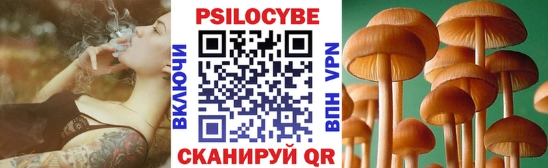 магазин    Сосенский  гидра вход  Галлюциногенные грибы MAGIC MUSHROOMS 